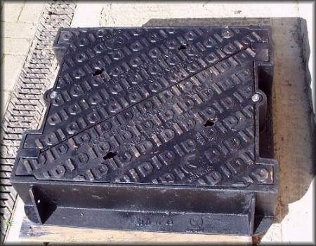 C.A.T. Bigfoot Cover